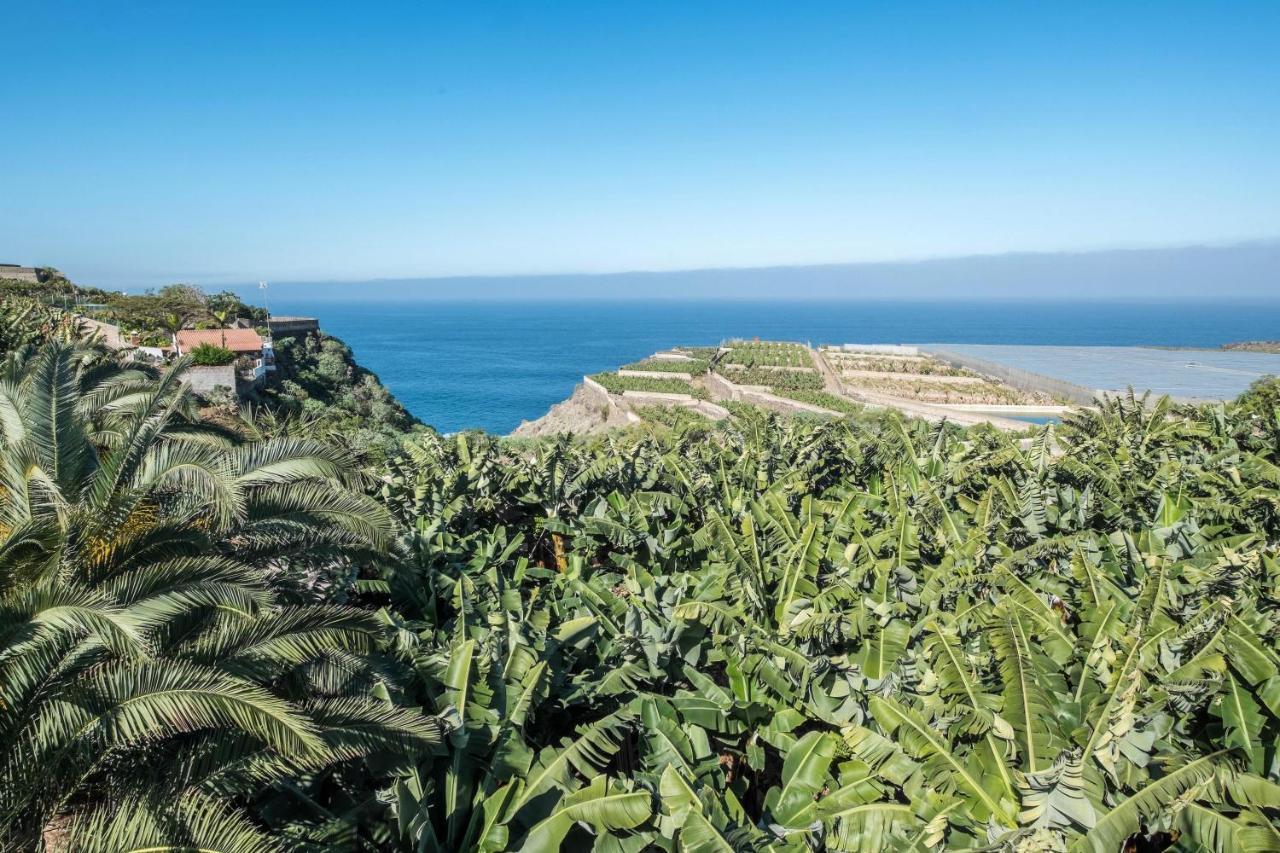 Finca Alejandrina La Guancha 외부 사진